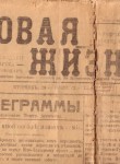 Новая жизнь